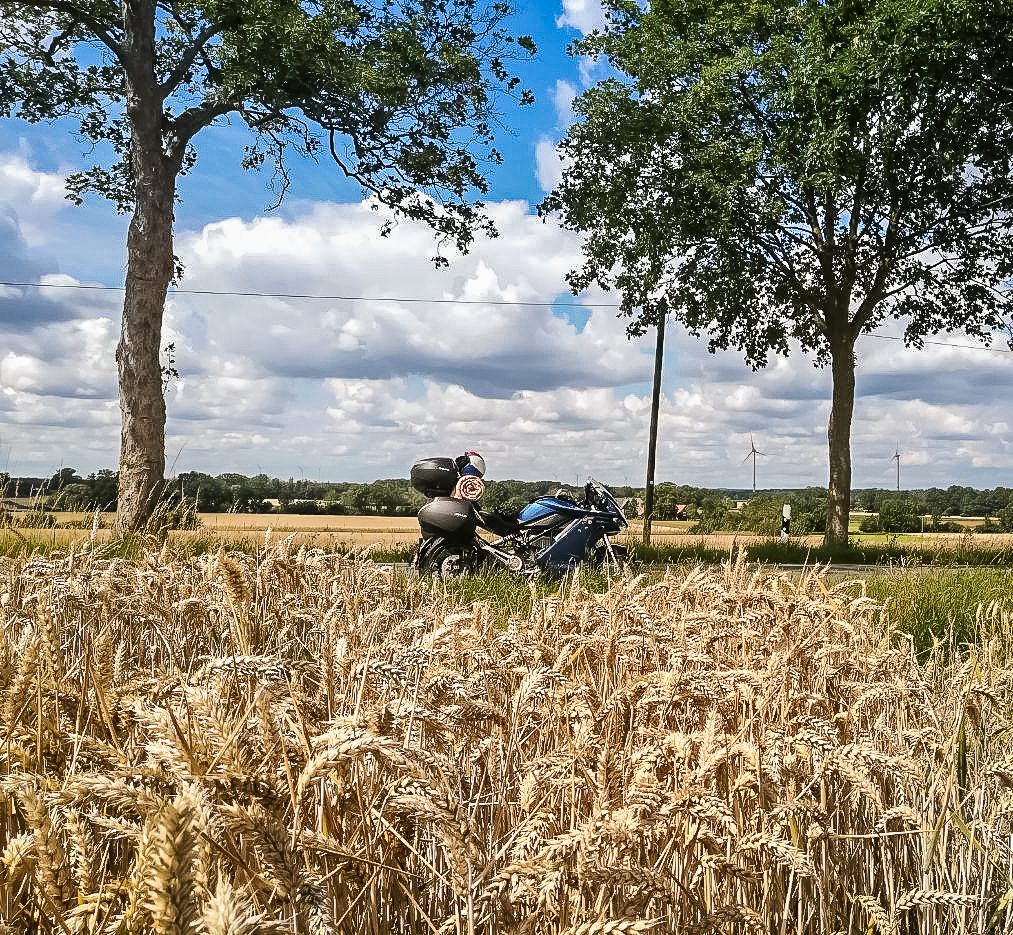 Zen und die Kunst, auf's Motorrad zu warten 7 "Auf dem Motorrad ist mitten drin in der Szene, anstatt sie nur zu betrachten" Zitat aus "Zen und die Kunst, ein Motorrad zu warten".