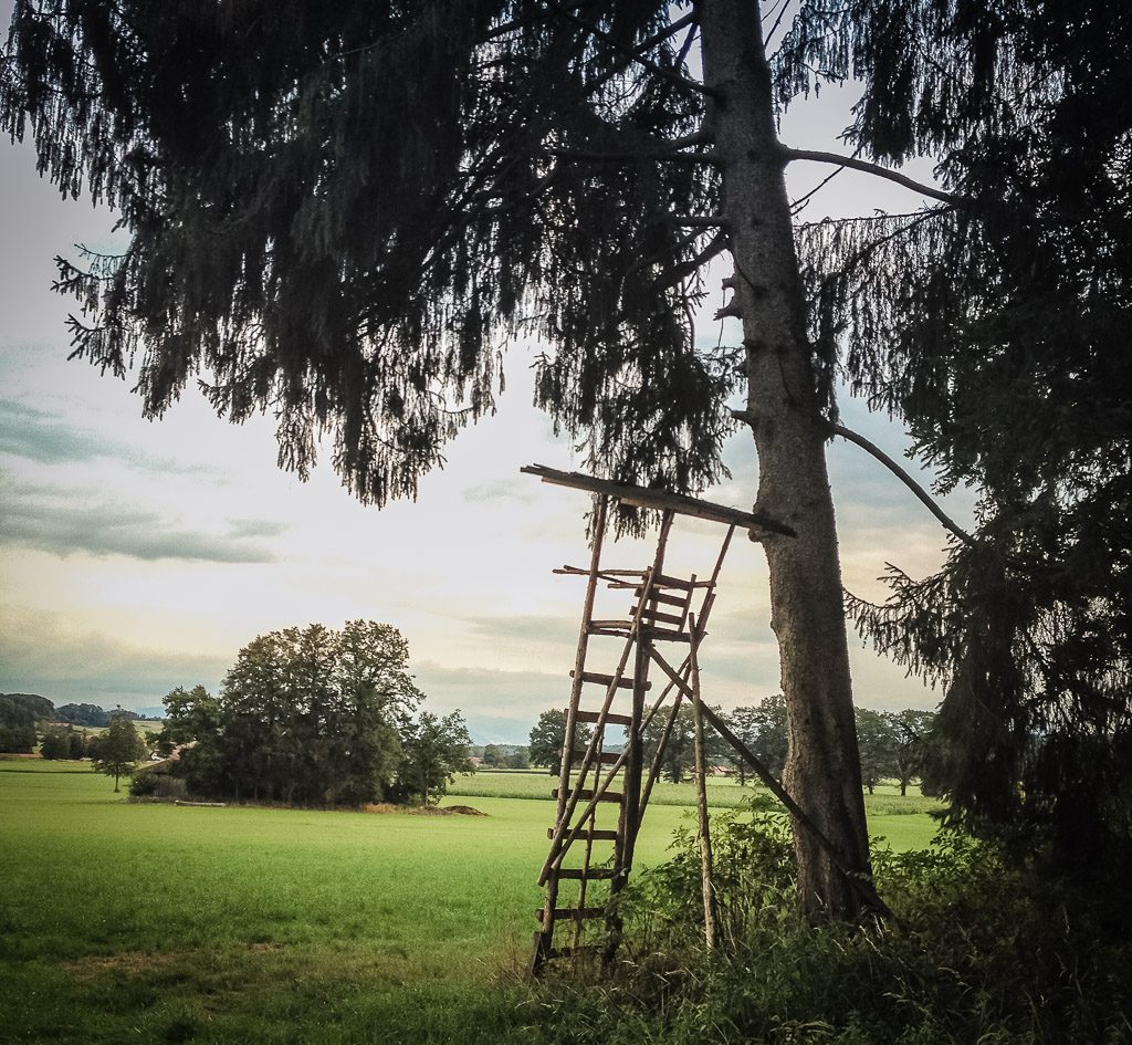 Eine Liebeserklärung an das Leben (Gastbeitrag) 2 auf der Suche nach Ruhe …
