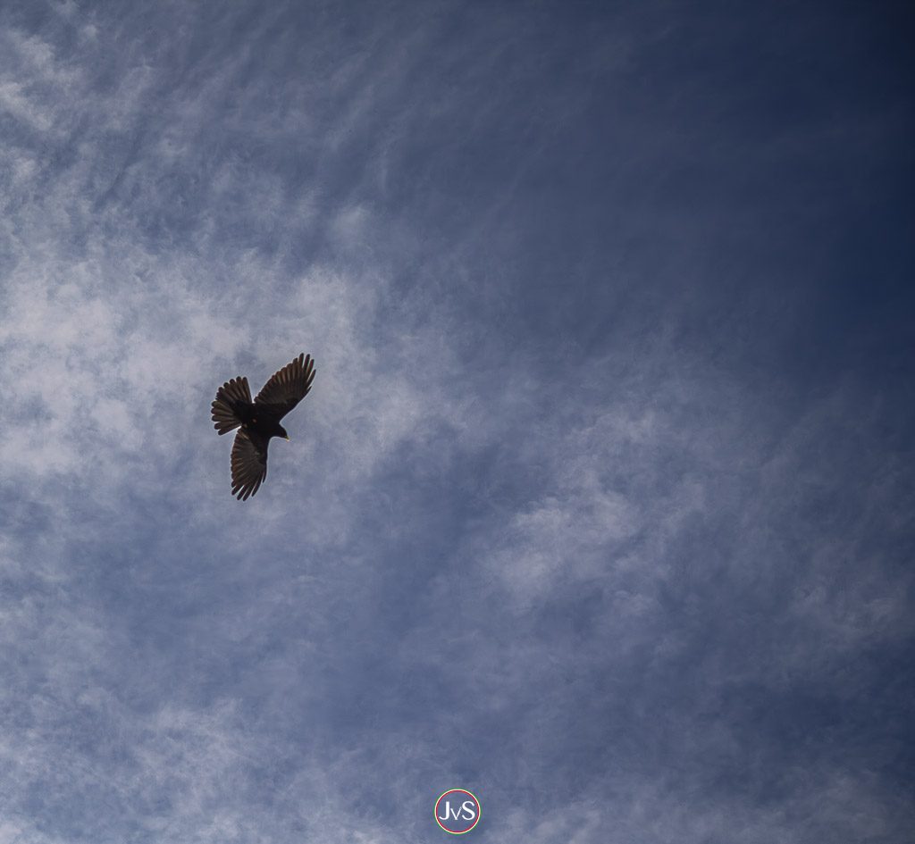 unter blauem Himmel