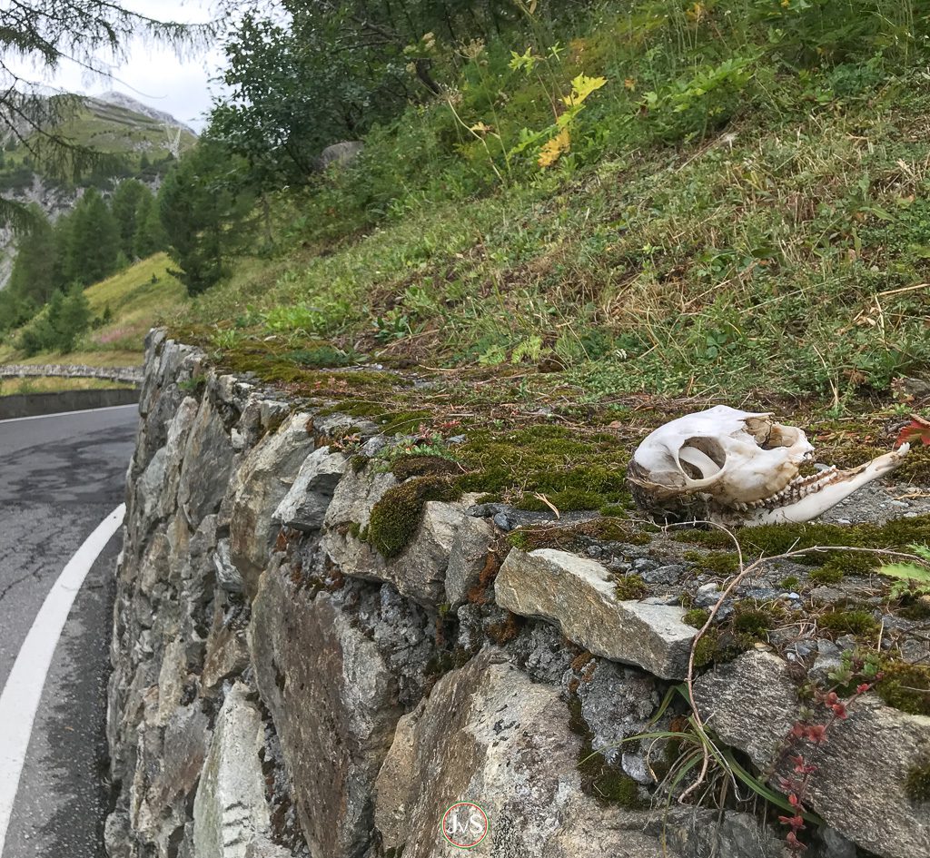 Stelvio Pass on a bicycle - a tough job